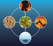 樊福好：新“五行”與養豬新思維