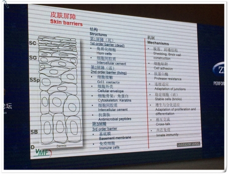 皮膚——動物飼養中常常被忽視的真相