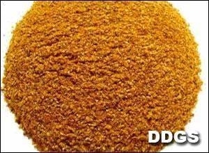 【原創(chuàng)】高粱DDGS與玉米DDGS成分比較