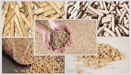 降低動物飼料中鋅、銅水平的3種