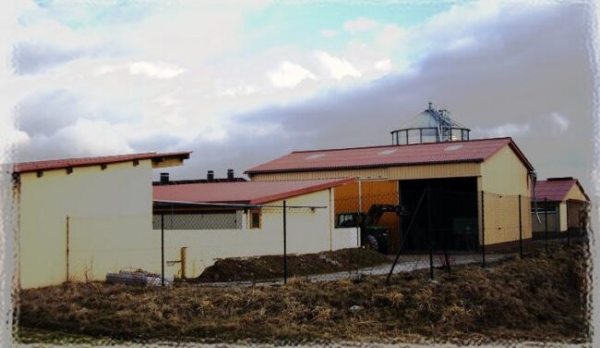 規(guī)避風險：一個德國豬農(nóng)是如何應(yīng)對豬價波動的（原創(chuàng)）