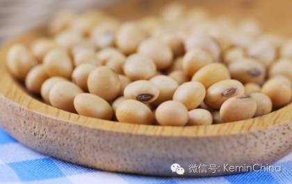 豆油與棕櫚油、牛油、白脂膏和其它脂肪的對比