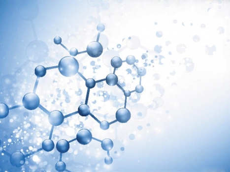 營養消化：警惕飼料中的未消化蛋白