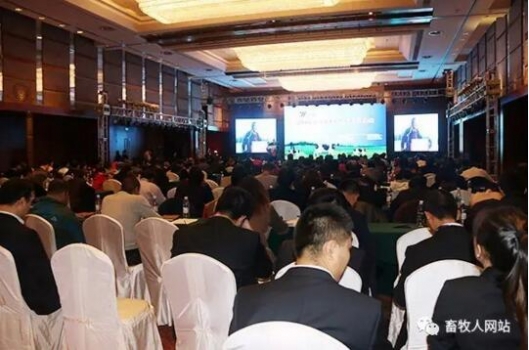 精準營養 聚焦服務 節本增效  提高牧場核心競爭力