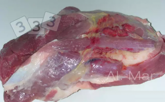 此損傷最有可能的造成原因是？