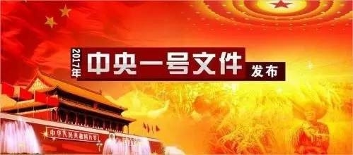 2017年中央一號文件正式公布