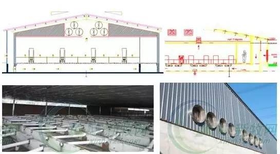 這樣的豬場冬暖夏涼！南北干濕都能解決！