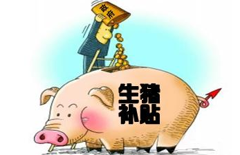 2017養豬新優惠政策：最高補貼80萬