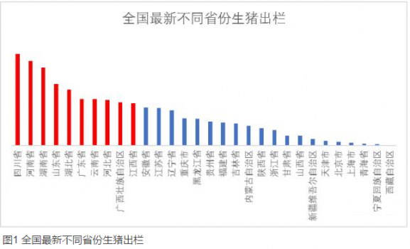 全國最新養豬排行榜！你的家鄉排第幾？