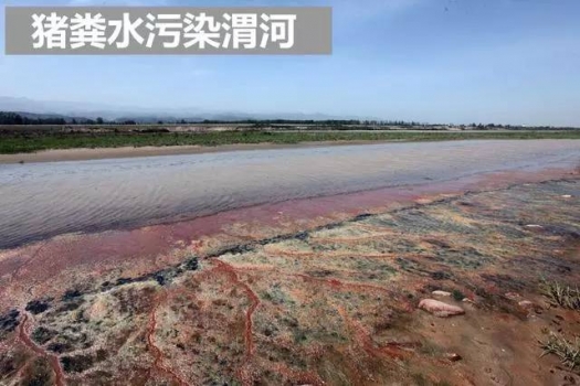 “十三五”規劃惠民政策來了！養殖戶可領補貼!