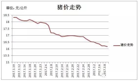 仔豬生豬價格差價大，你還敢養(yǎng)豬嗎?