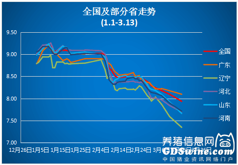 豬價跌破8元 3月還有上漲機會嗎？