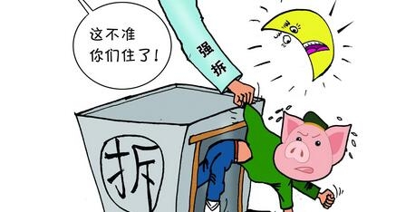 農業部：未來4年，這10個區域的養豬業要重點治理