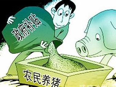 農村曉得養豬補貼的少就算了，中小養殖戶還沾不上邊？！