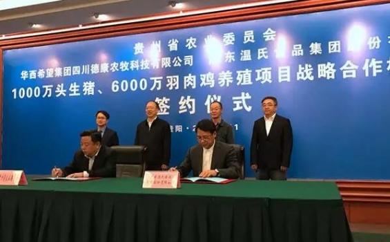 華西希望集團、溫氏集團與貴州簽約1000萬頭肉豬6000萬羽肉雞養殖項目