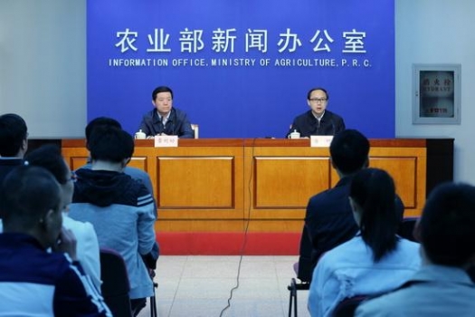 農業部：蔬菜價格總體下降 肉類價格仍處高位