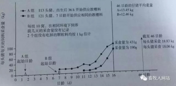 教槽料使用的管理