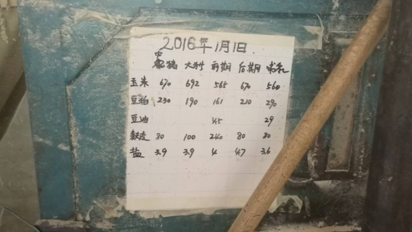 現在豬的品種與蛋白質需要量的關系