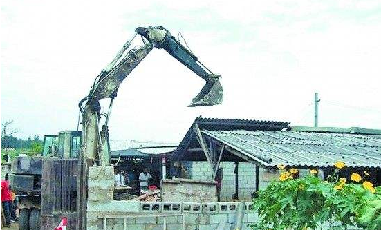 拆豬場拆出大事兒！生豬供應正在急劇減少