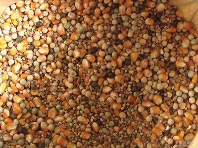 飼料防霉需打好“預(yù)防針”