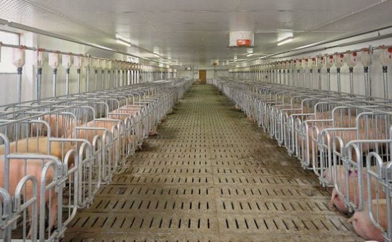 南方保育舍該如何設計更好？