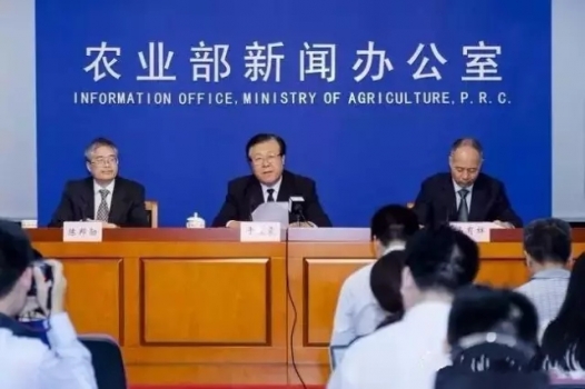 農業部副部長最新回應：環保要做，強拆豬場可不行！