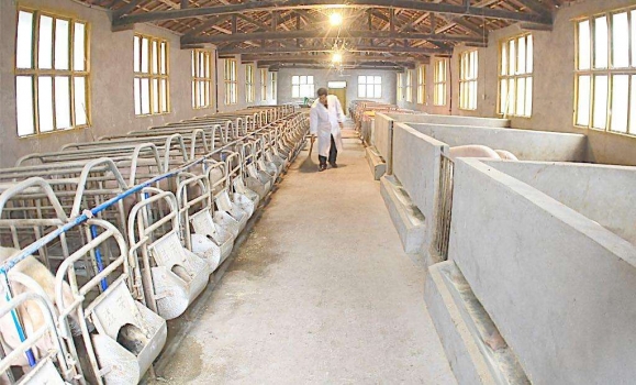 降溫設施哪種方式好？