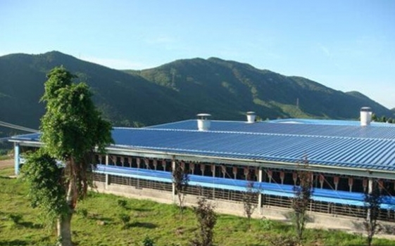 取消3家企業國家生豬核心育種場資格