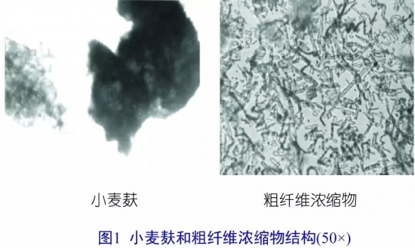 不可溶非發酵性纖維可促進腸道健康