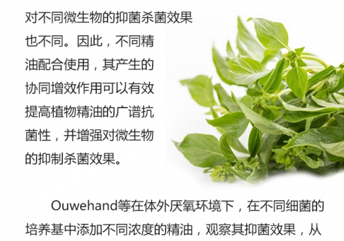 植物精油的生物學功能0719_04.jpg