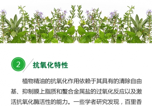 植物精油的生物學功能0719_07.jpg
