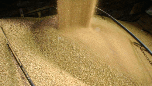 實(shí)驗(yàn)室一般質(zhì)量控制方式有哪些？質(zhì)量控制的實(shí)施程序及有效性評(píng)審！