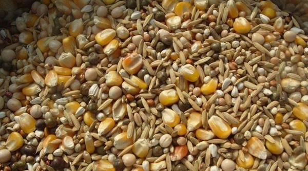 分析檢測(cè)中標(biāo)準(zhǔn)曲線相關(guān)問(wèn)題探討