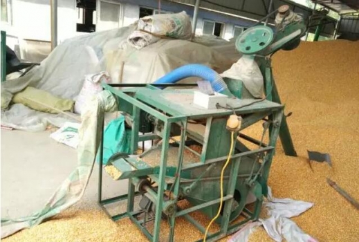 周恩庫(kù)：玉米使用少花冤枉錢知道這四個(gè)字就行