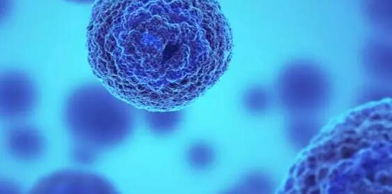 羅正：益生菌評(píng)估要根據(jù)產(chǎn)品特點(diǎn)而定 | 建明全方位營(yíng)養(yǎng)