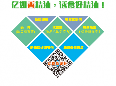 【聚焦精油】億如：堅持為行業提供用得起、用得好的精油產品