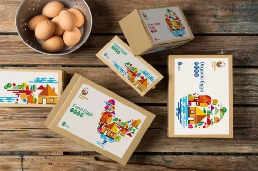 我國雞蛋市場近3千億元，95%都沒品牌