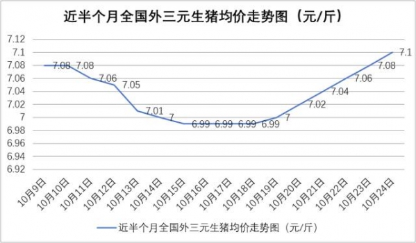 豬價連漲7天！專家稱談新一輪“豬周期”要來仍為時尚早！