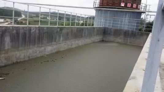 沼液喂豬 生豬愛吃貪睡長得快！