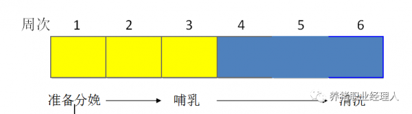 批次生產 | 豬場如何由周批生產轉型為三周批次生產（2）