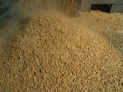 原料粉碎粒度和飼料形態對動物影響的研究