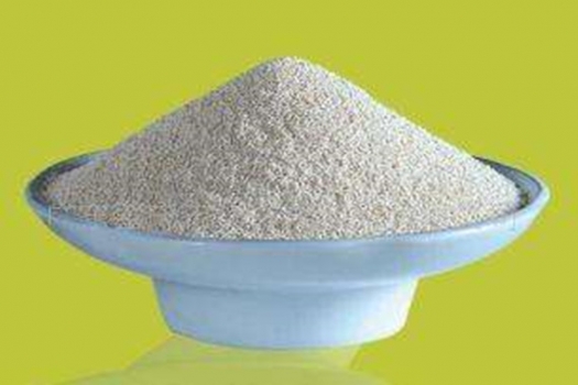 節本增效：加酶？還是加酶體外預消化？