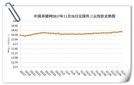 這兩點助推豬價起飛，后期還有多少上漲空間?