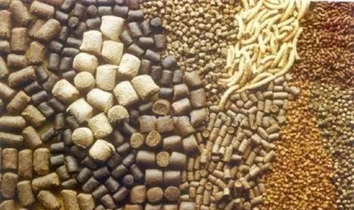 為何相同的配方，飼料產品效果不同？原因在這里！