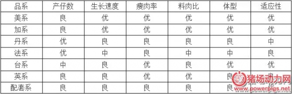 豬場選豬法則！不同種豬品系的優缺點都在這里...