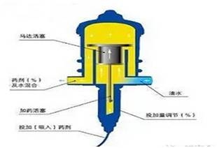 細數豬場飲水給藥的講究！