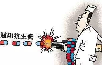 豬用抗生素，保健還是治療？