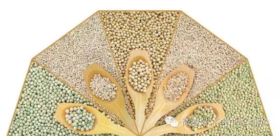 吝常華：發酵飼料在肉雞上的使用