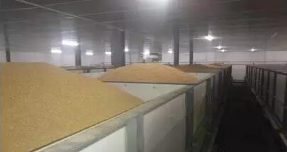 發酵飼料的生產與應用技術研究