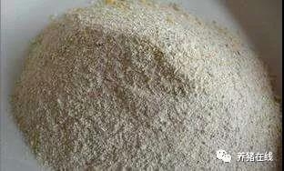 豬為啥6個月就能出欄？農業部為您解析